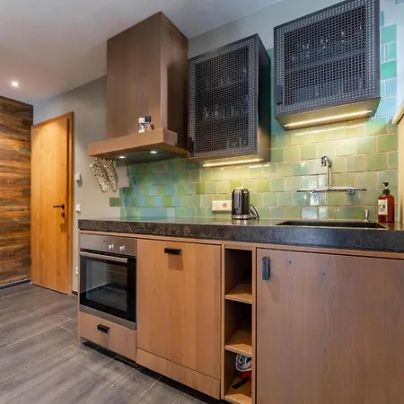 Schneeloewe S بيت للعطل