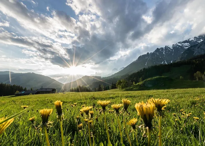 펜션 Schneeloewe S *